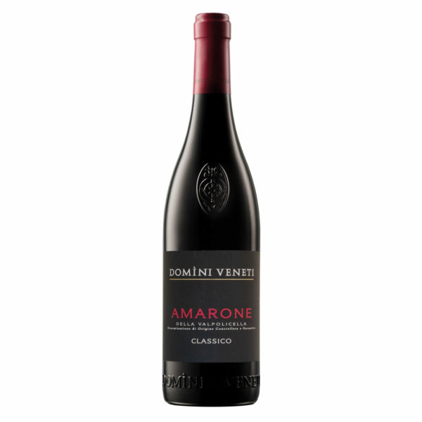 Amarone della Valpolicella Classico - Domini Veneti